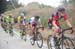 Amgen Tour of California, 2015