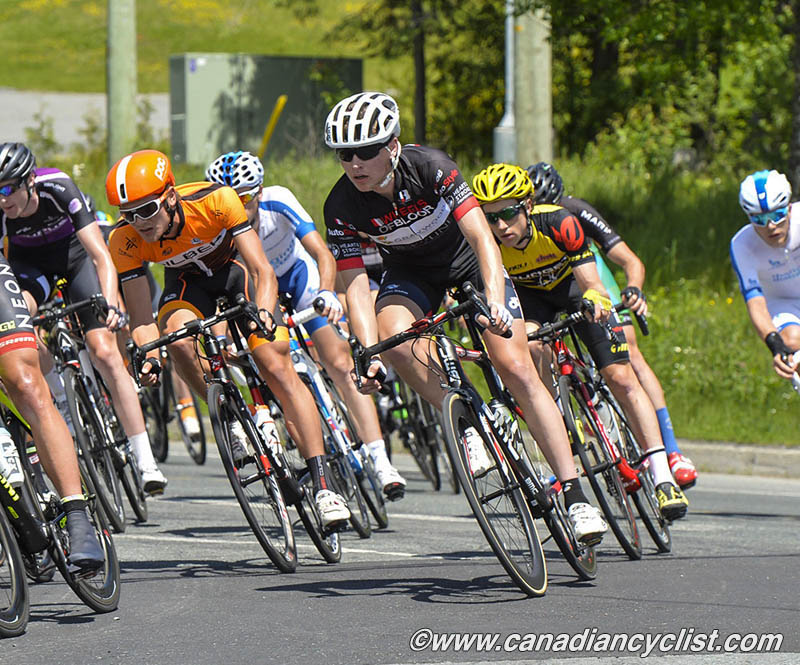 beauce