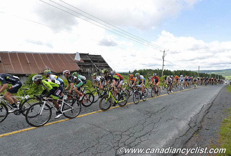 beauce