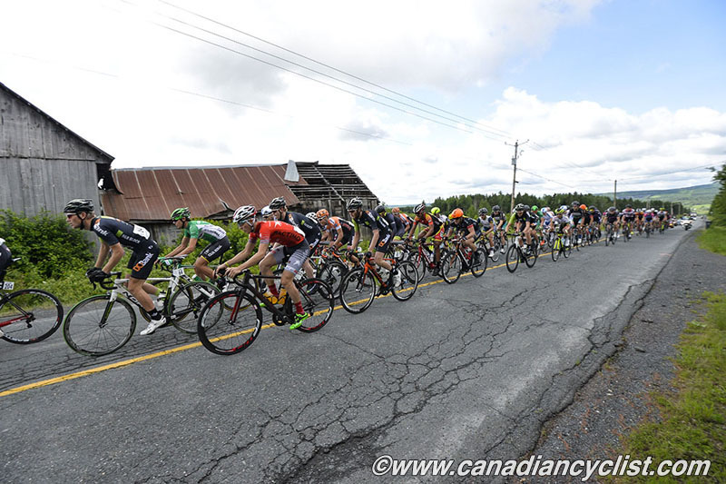 beauce