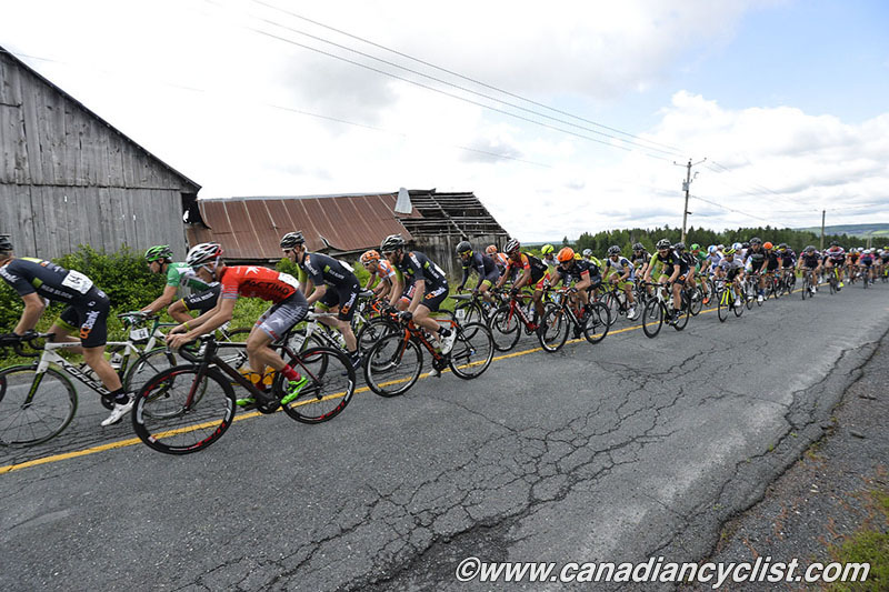 beauce