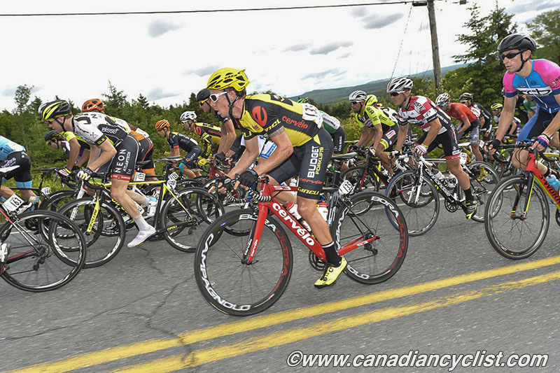 beauce