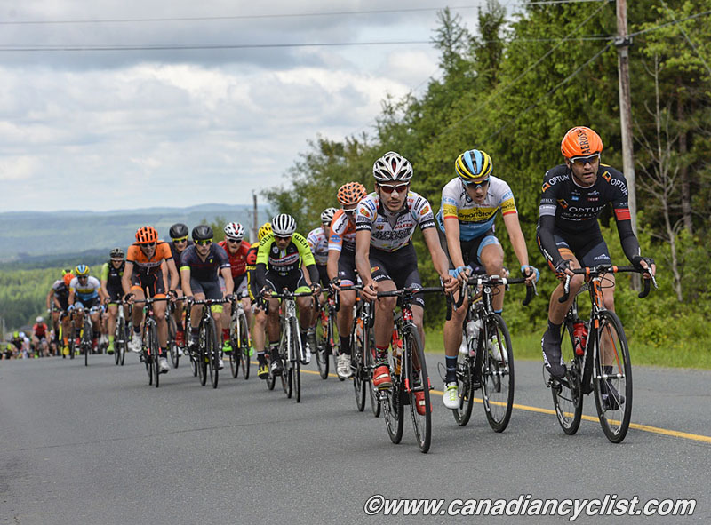 beauce
