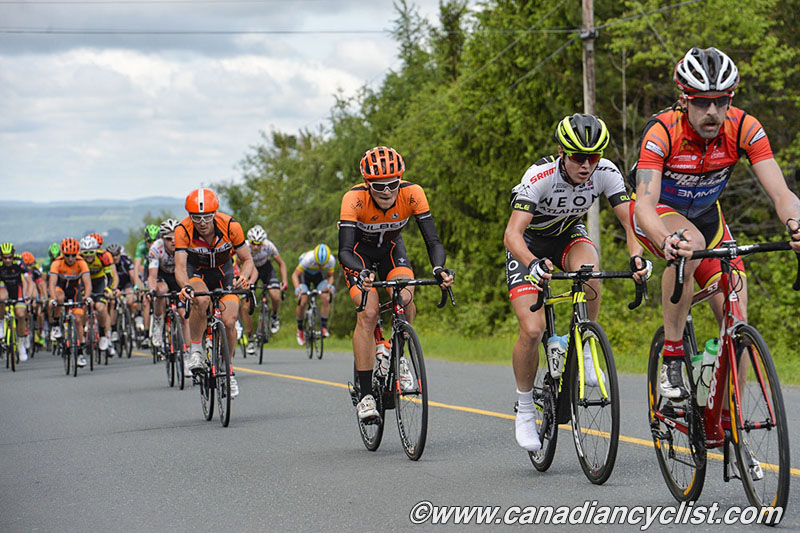 beauce