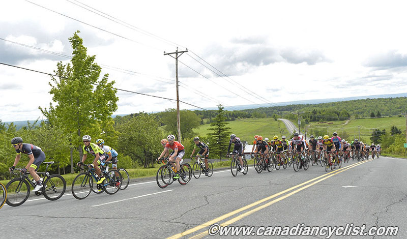 beauce