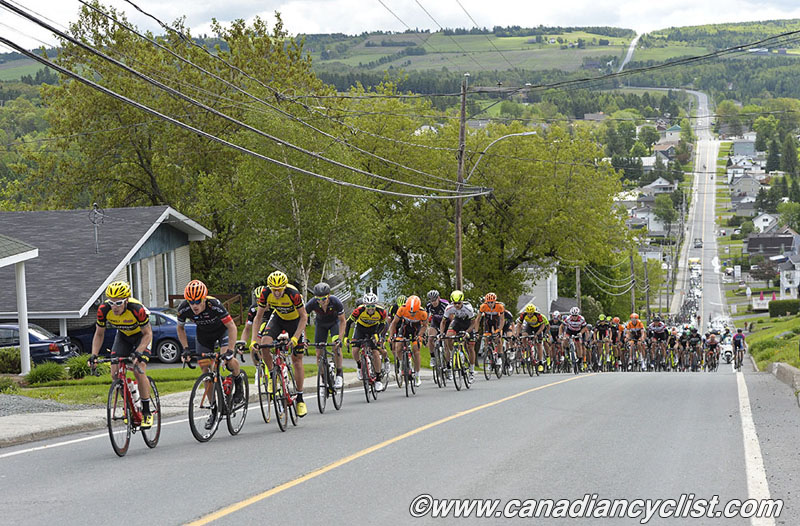 beauce