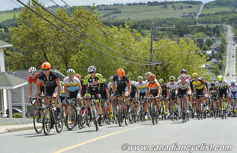 beauce
