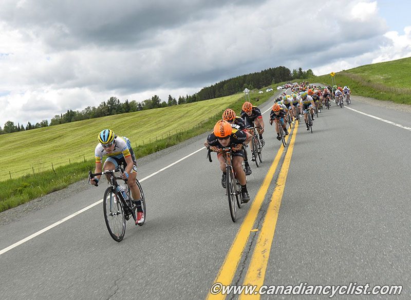 beauce