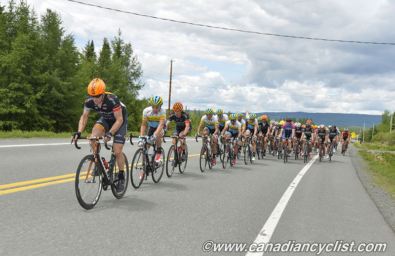beauce