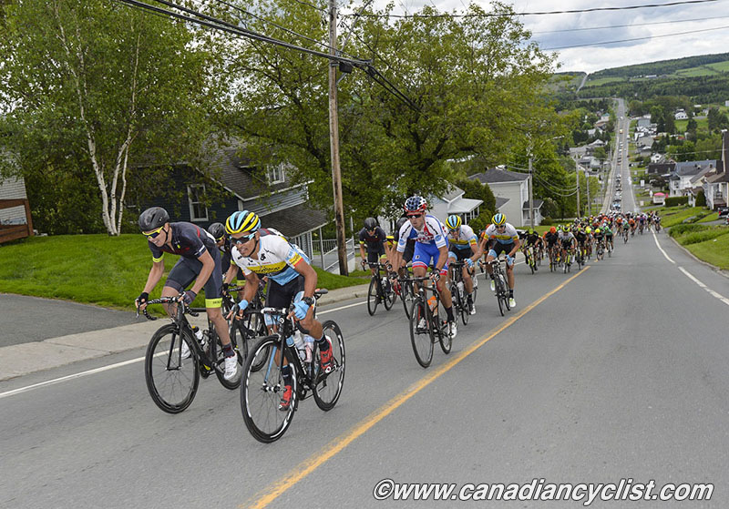 beauce