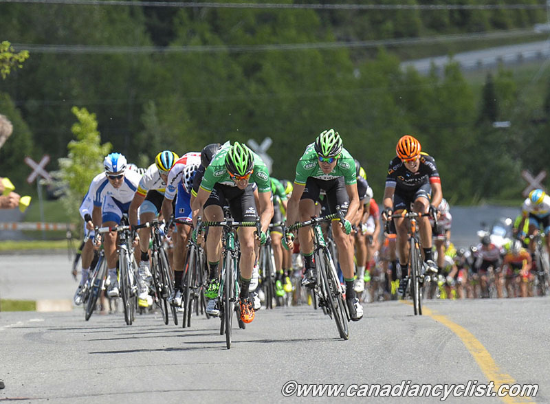 beauce