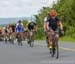 beauce