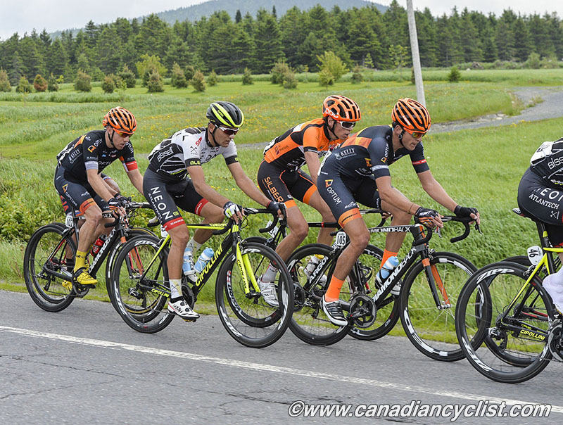 beauce