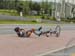 beauce