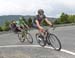 beauce