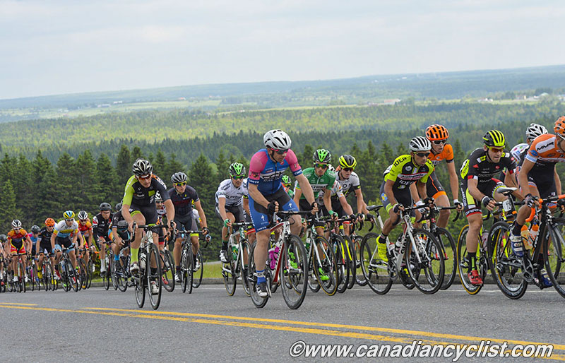 beauce
