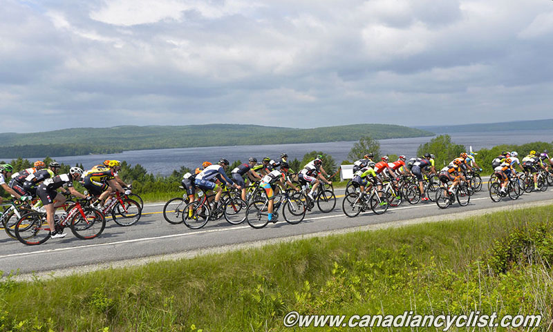 beauce