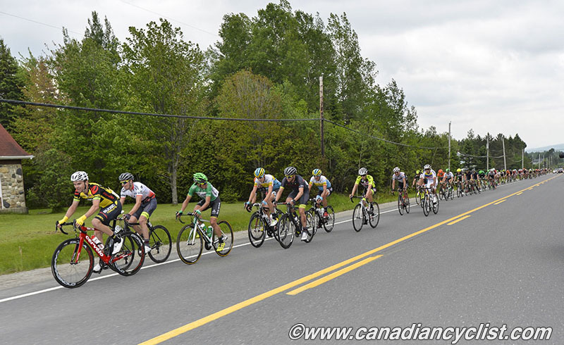 beauce