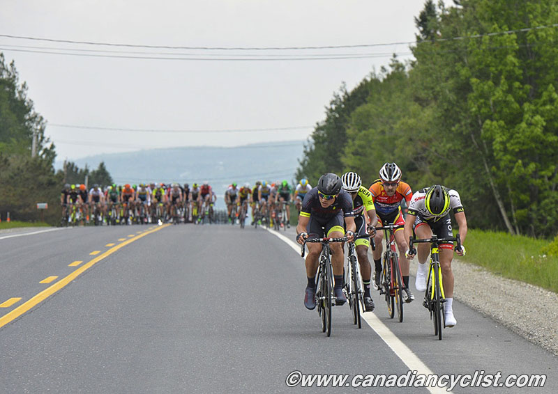 beauce