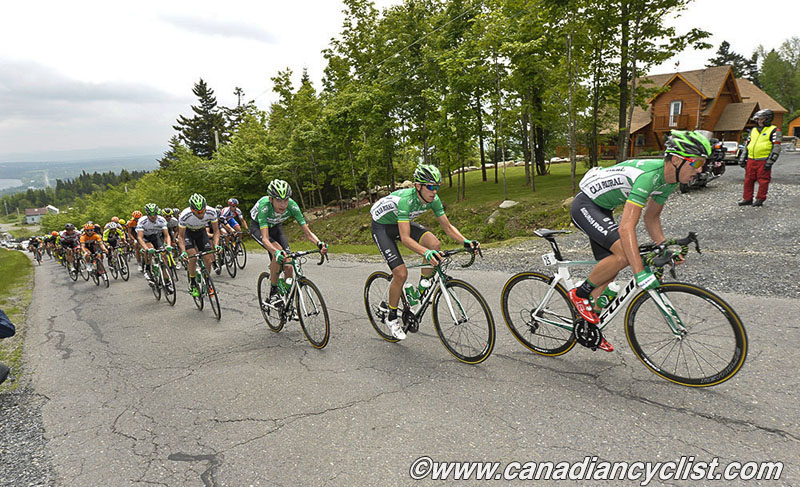beauce