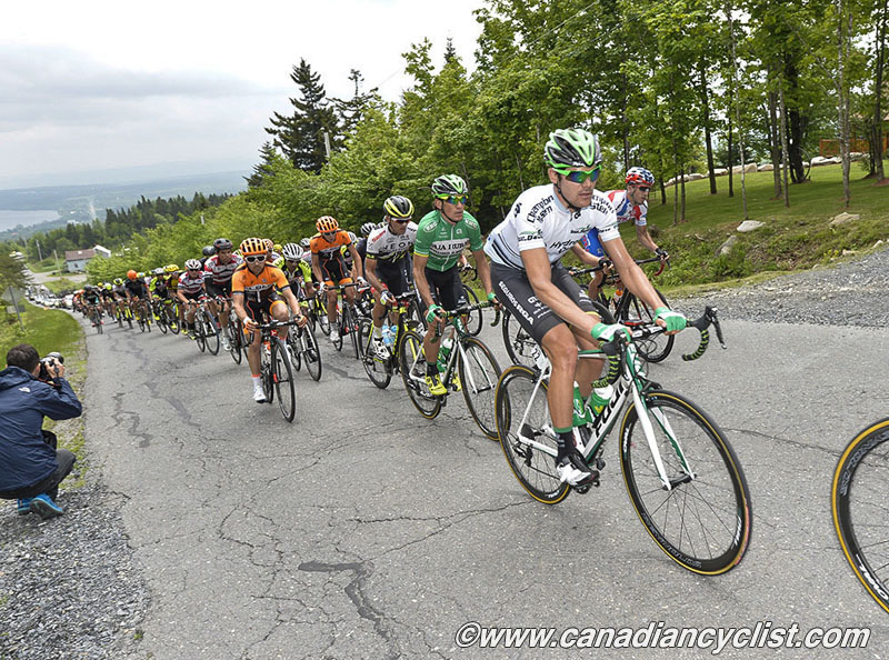 beauce