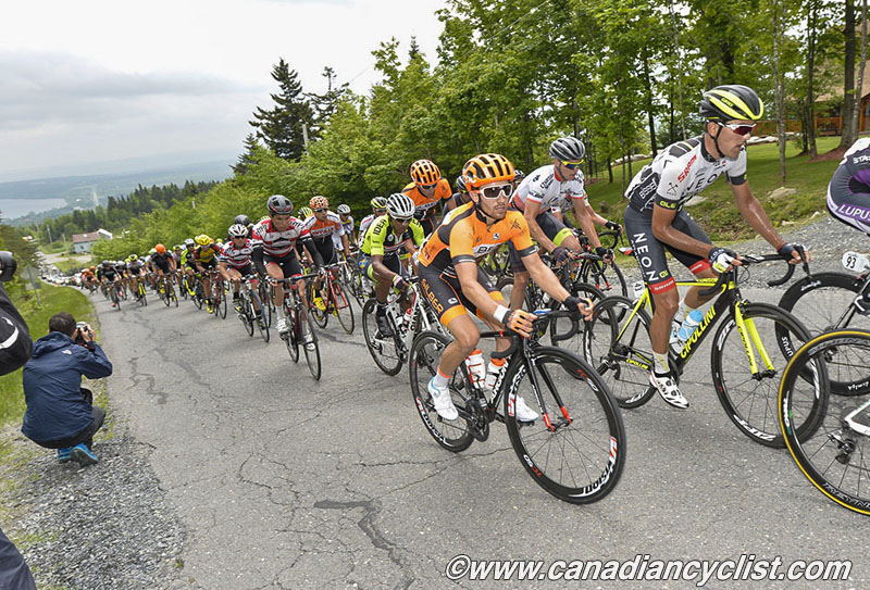 beauce