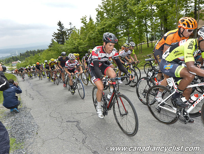 beauce