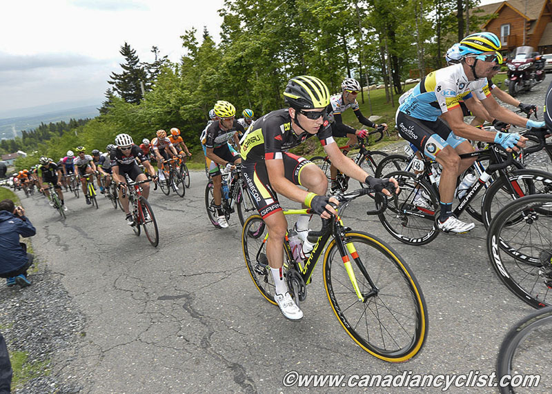 beauce