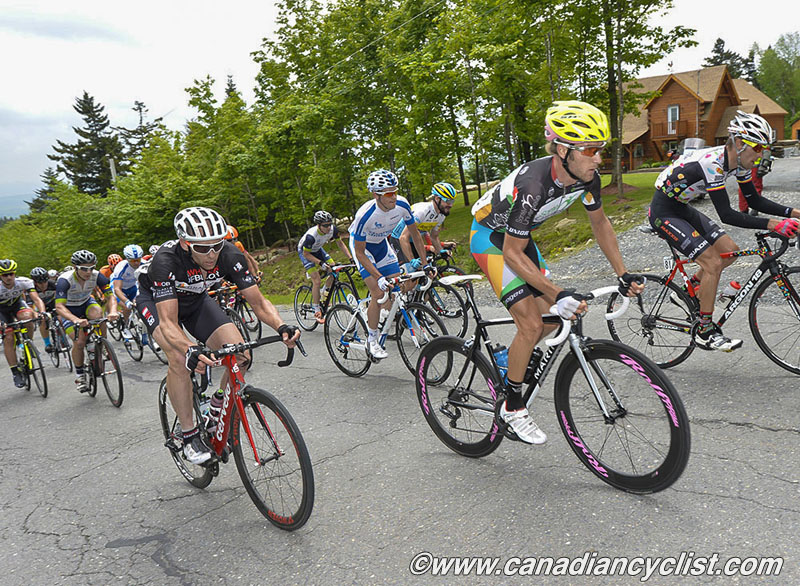 beauce