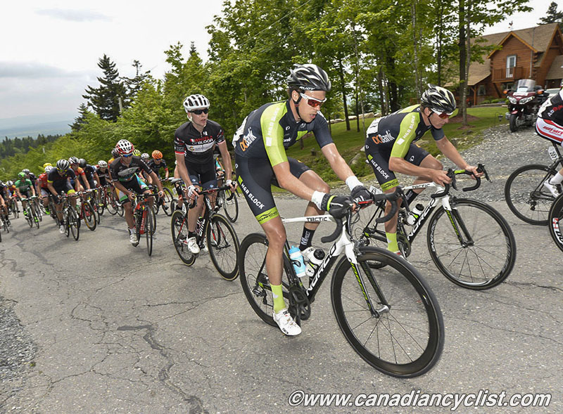 beauce
