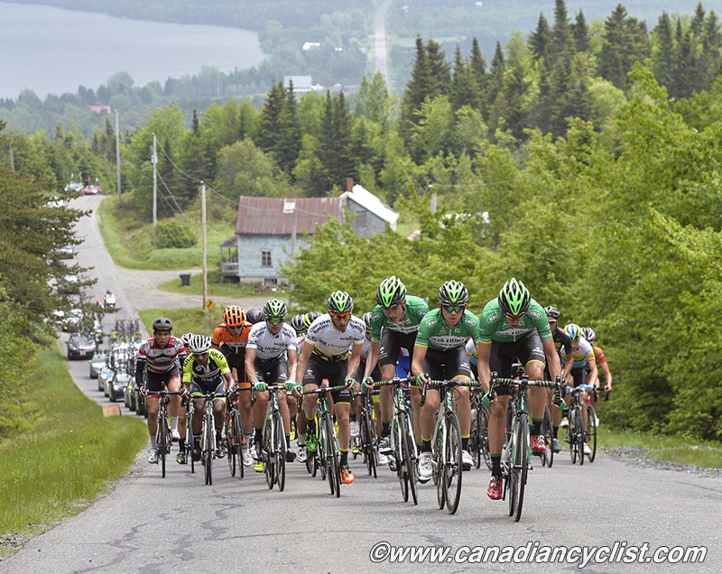 beauce