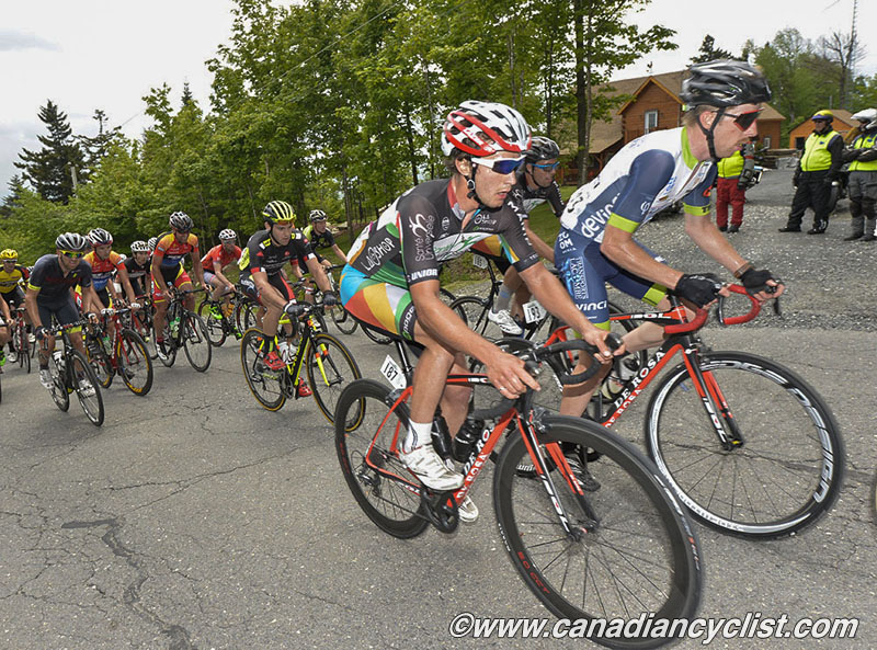 beauce