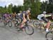 beauce