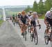 beauce