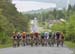beauce