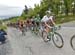 beauce