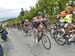 beauce