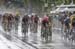 GPCQM Montreal