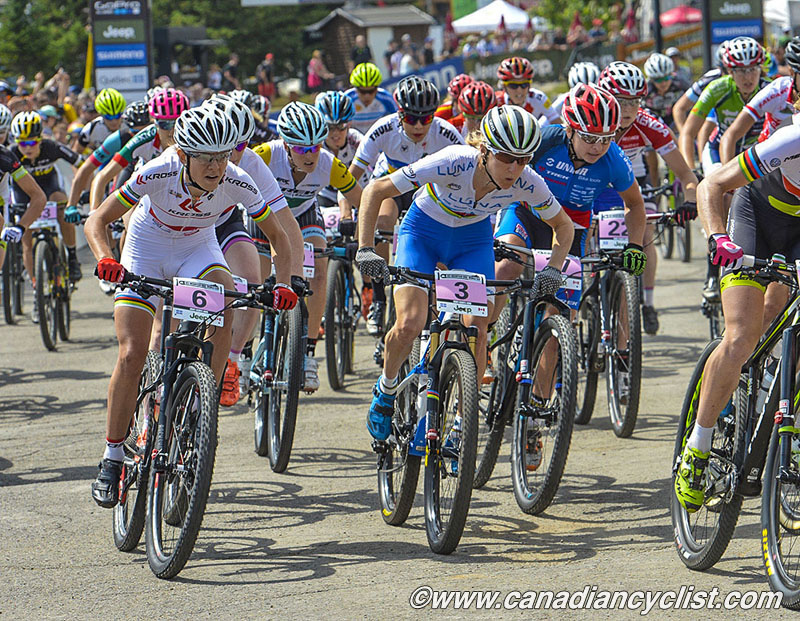 2015 MSA World Cup