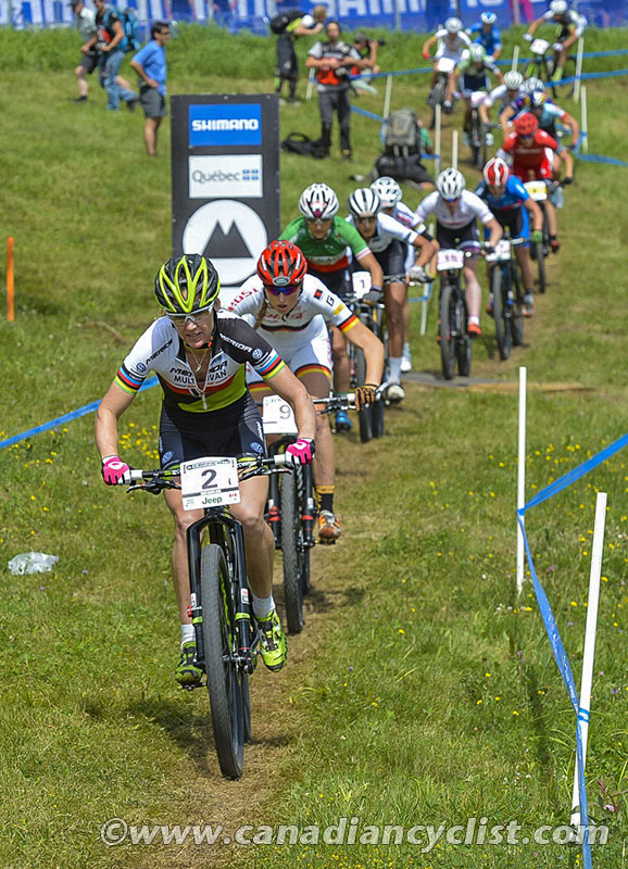 2015 MSA World Cup