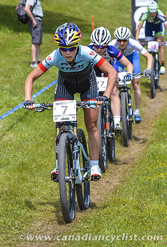 2015 MSA World Cup