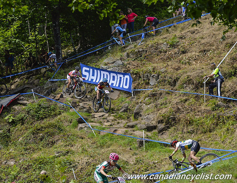 2015 MSA World Cup