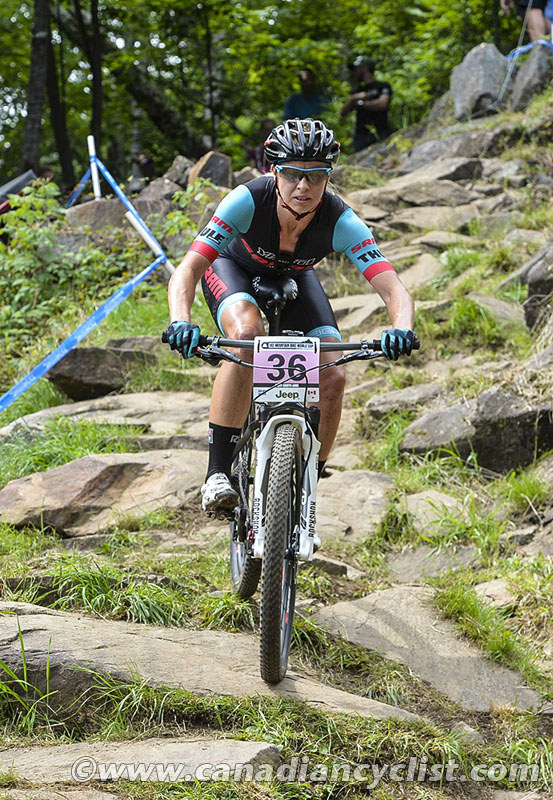 2015 MSA World Cup