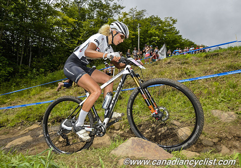 2015 MSA World Cup