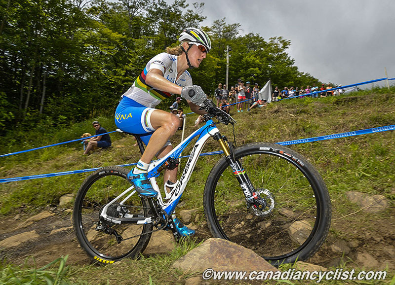 2015 MSA World Cup