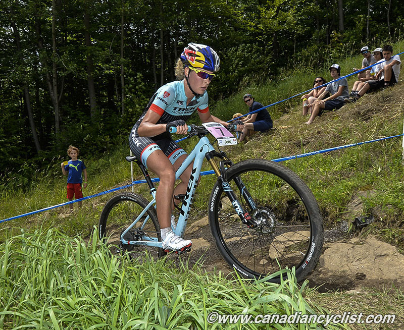 2015 MSA World Cup