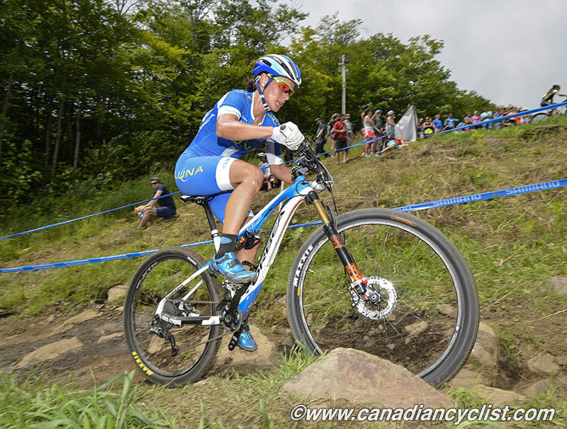 2015 MSA World Cup