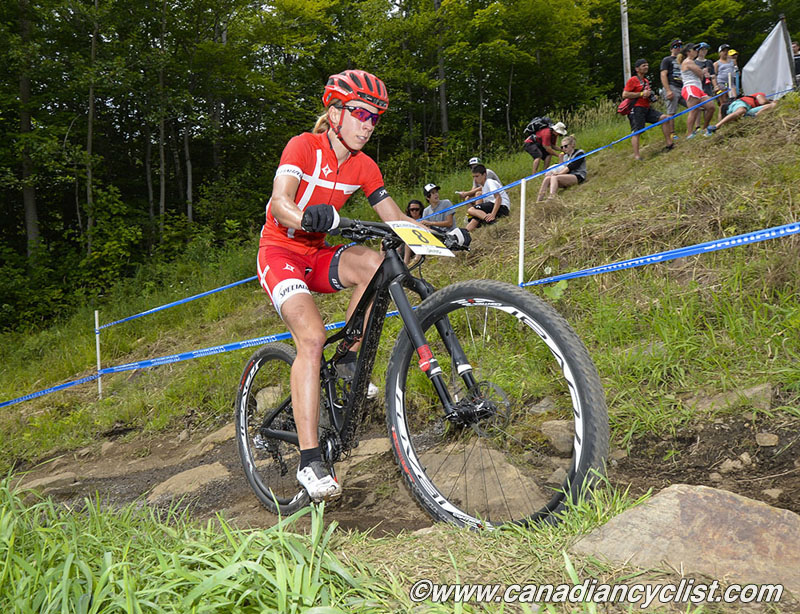 2015 MSA World Cup