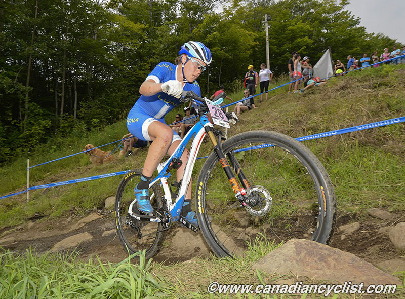 2015 MSA World Cup