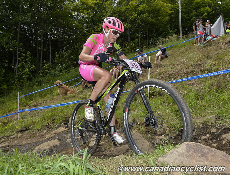 2015 MSA World Cup